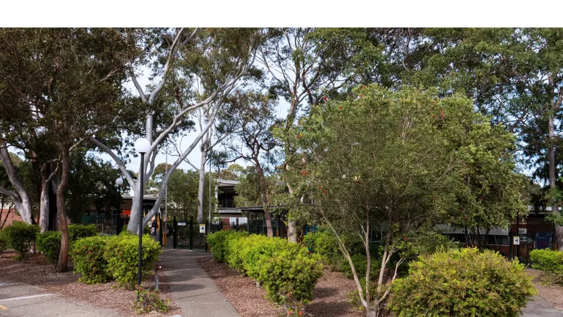 Lucas Heights Community School