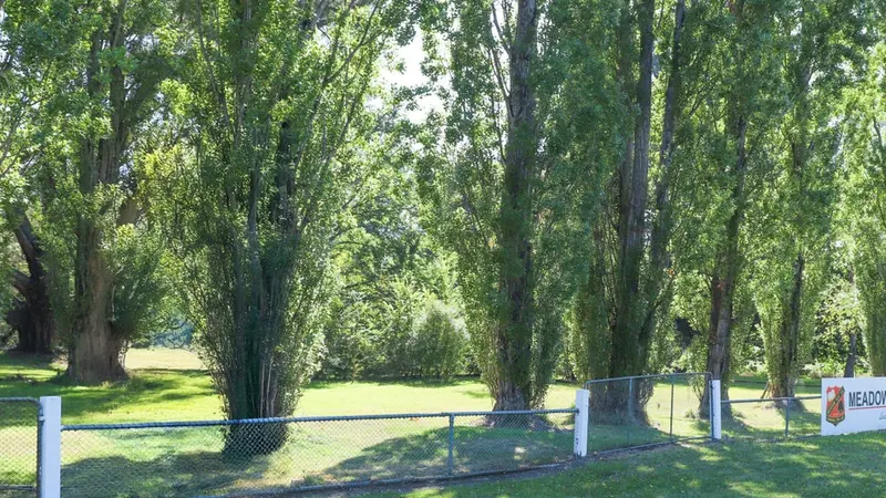 Meadow Flat Public School