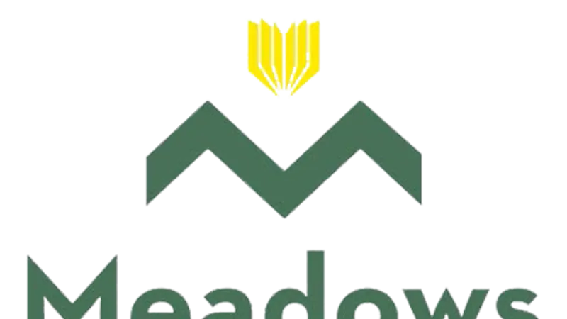 Meadows Primary School