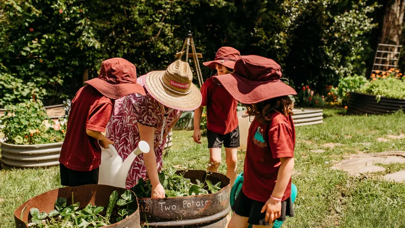Menzies Creek Primary School