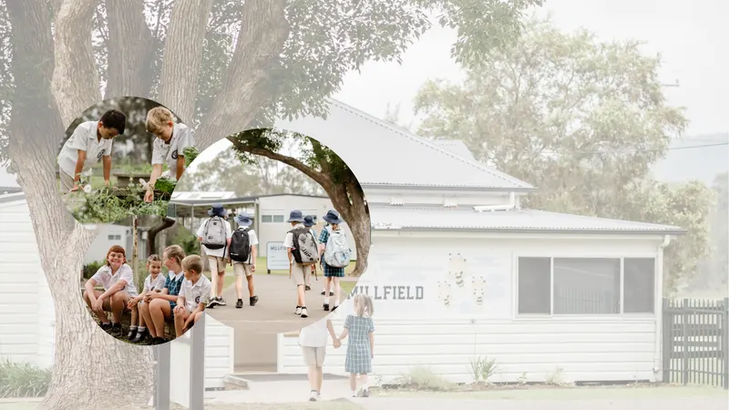 Millfield Public School