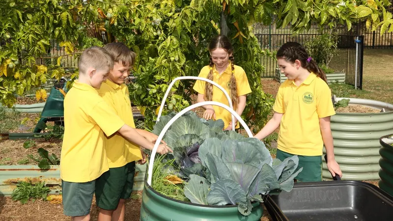 Minnamurra Public School