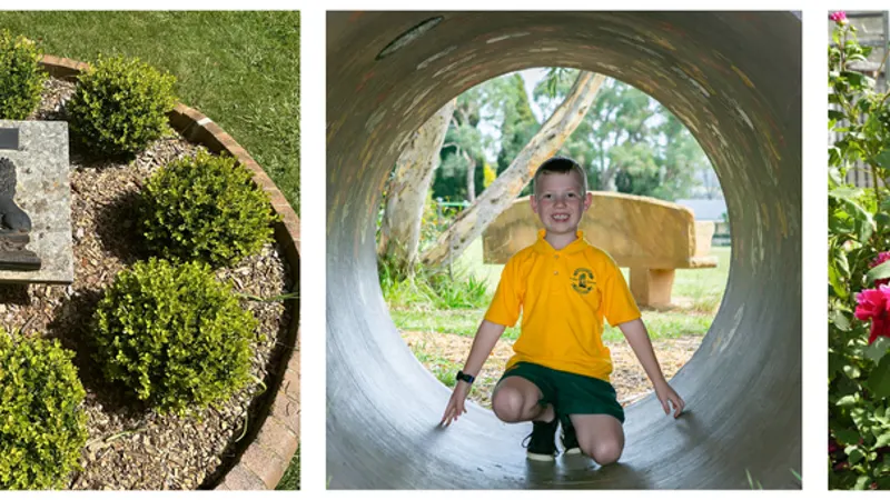 Mittagong Public School
