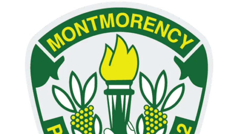 Montmorency Primary School