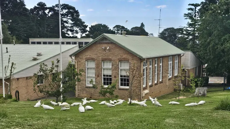 Mount Victoria Public School