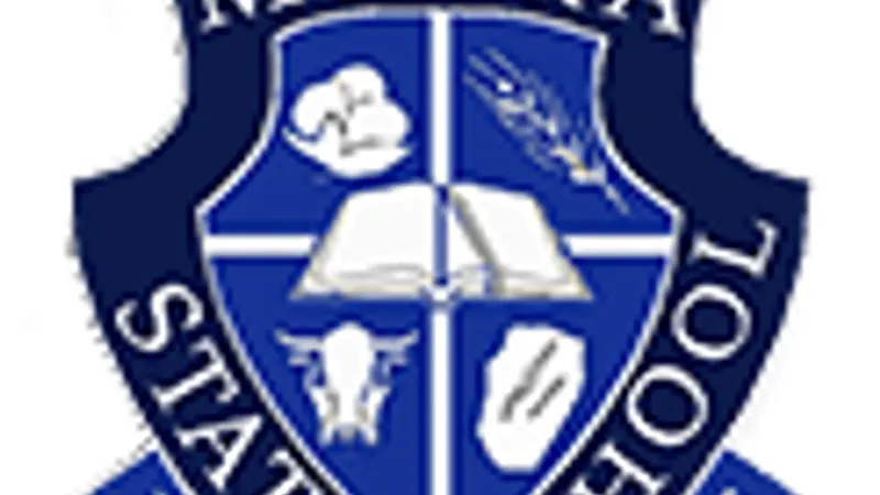 Moura State School