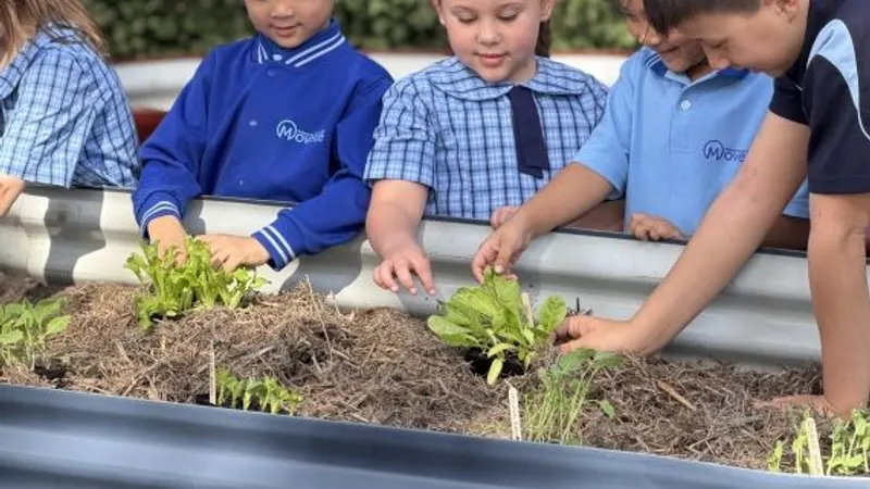 Movelle Primary School