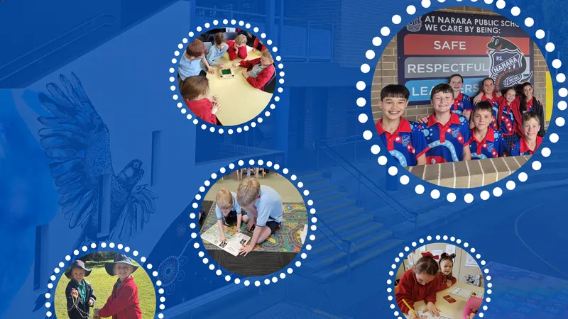 Narara Public School