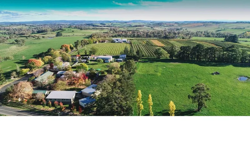 Nashdale Public School