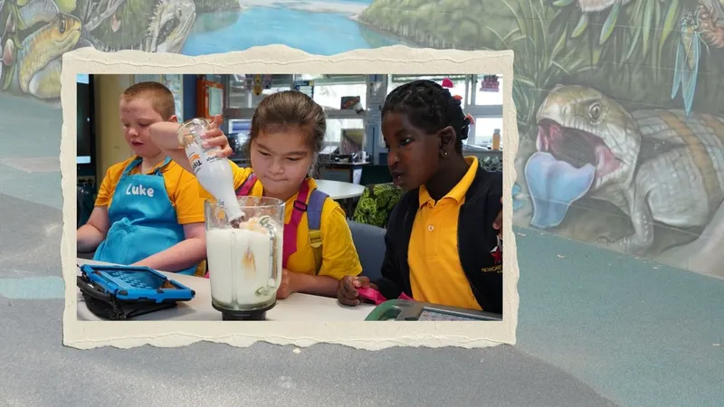 Newcastle Junior School