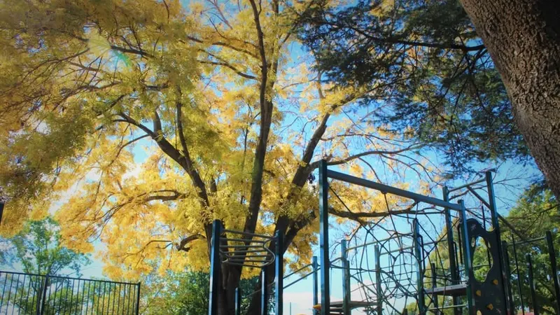 Orange East Public School