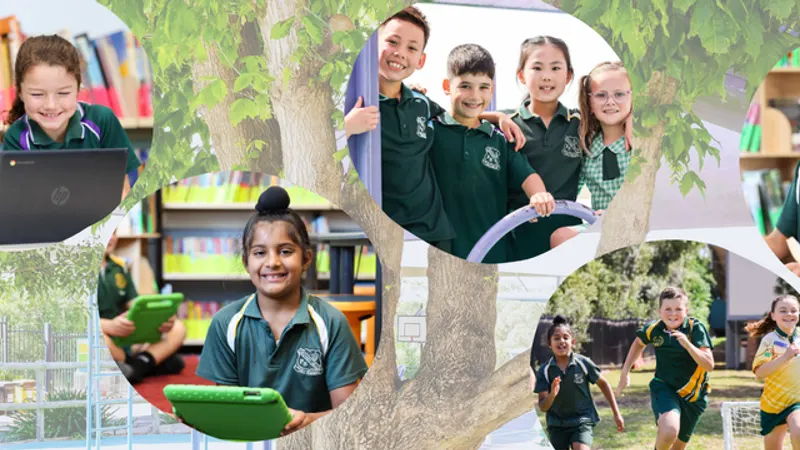 Orchard Hills Public School
