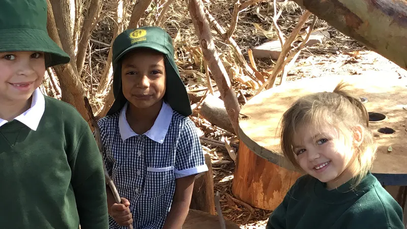 Para Vista Primary School