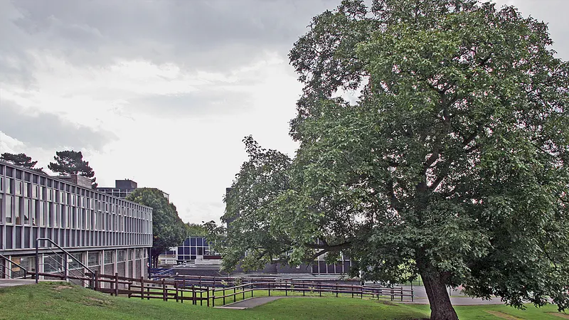 Port School