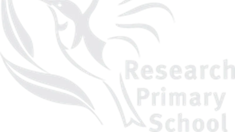 Research Primary School