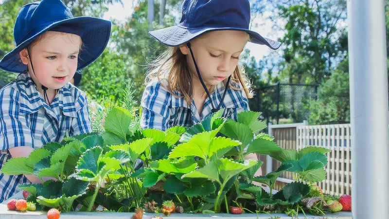 Ringwood Heights Primary School