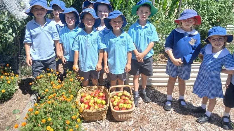 Rylstone Public School