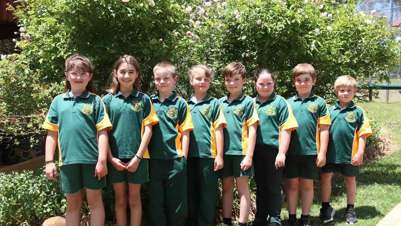 Sofala Public School
