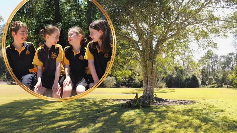 Somersby Public School