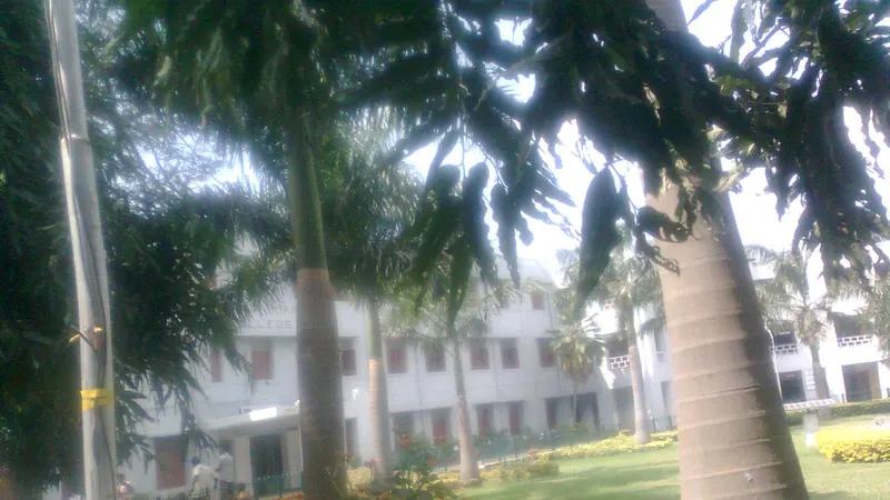 Stella Maris