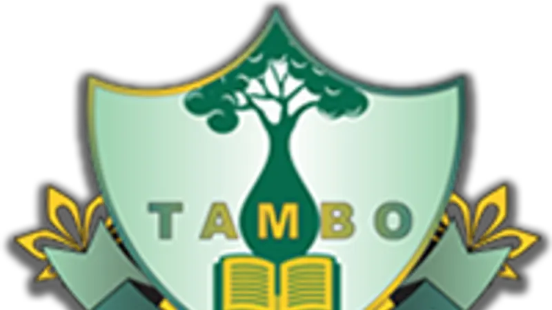 Tambo State School