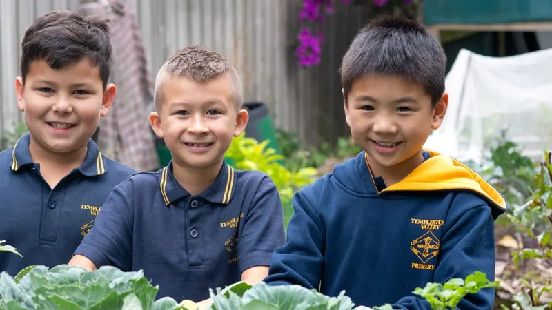 Templestowe Valley Primary School