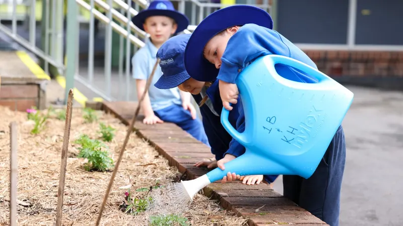 Terrey Hills Public School