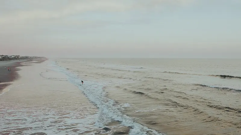 The Beach School