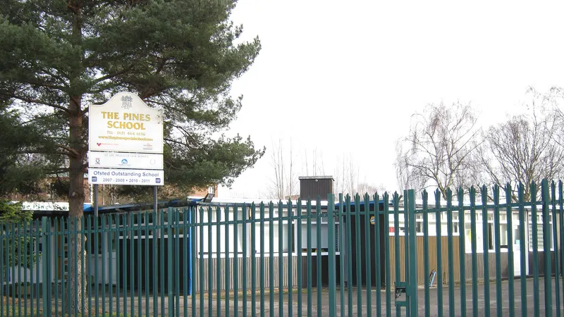 The Pines School