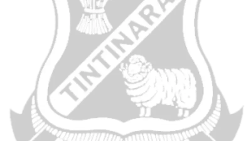Tintinara Preschool