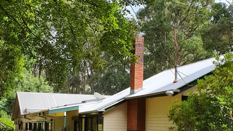 Toolangi Primary School
