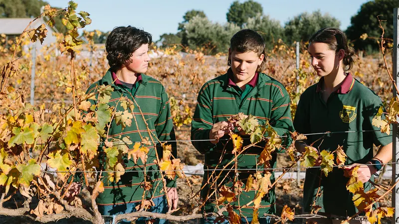 Urrbrae Agricultural High School