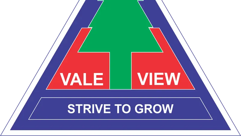 Vale View State School