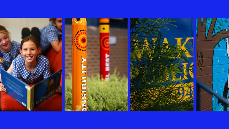 Wakehurst Public School