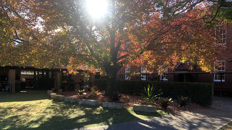 Waratah Public School