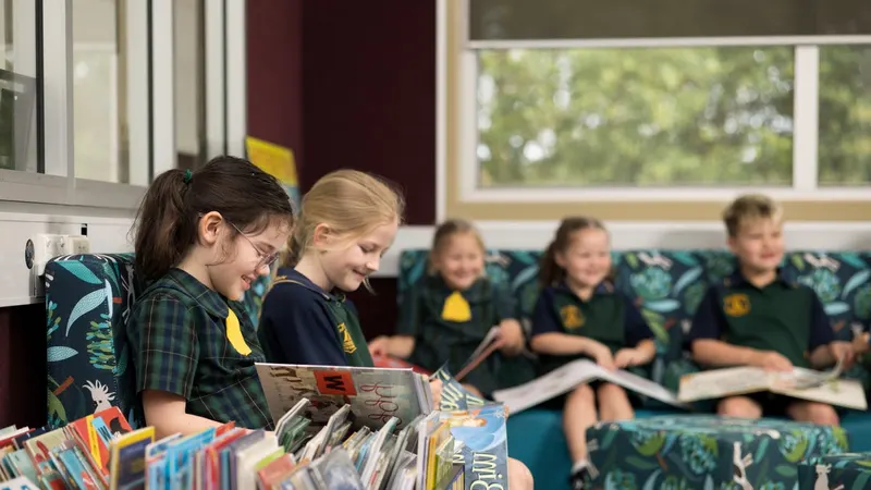 Warners Bay Public School