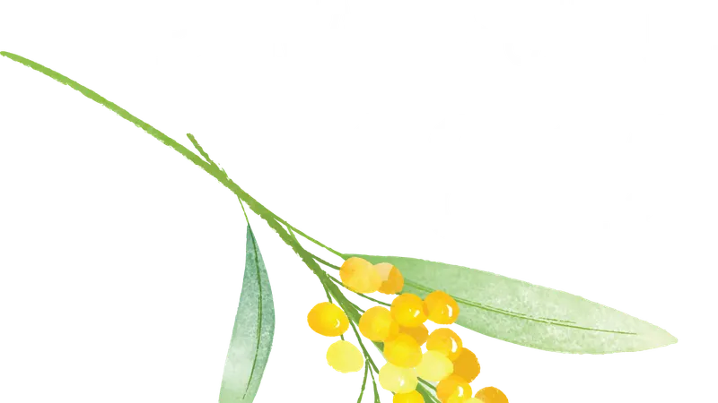 Wendouree Primary School