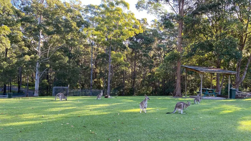 Woolgoolga High School