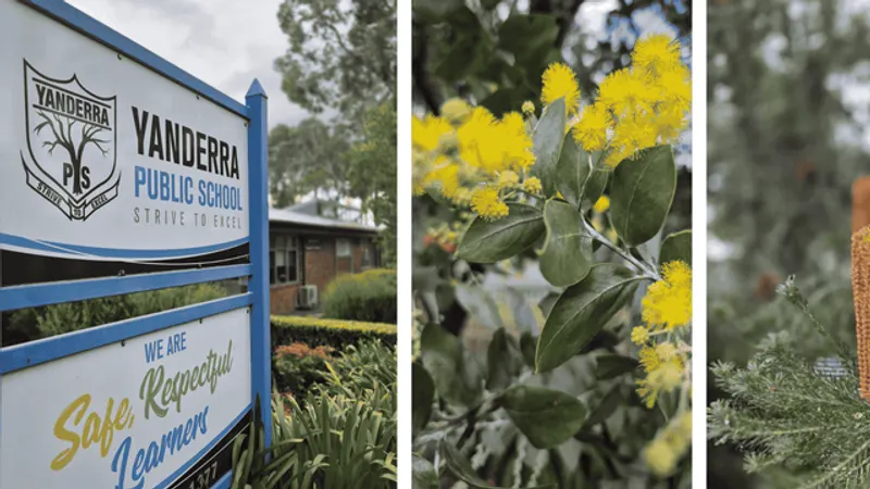 Yanderra Public School